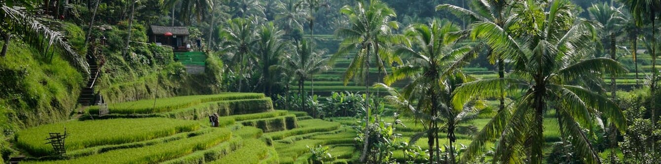 Bali (Indonesia)