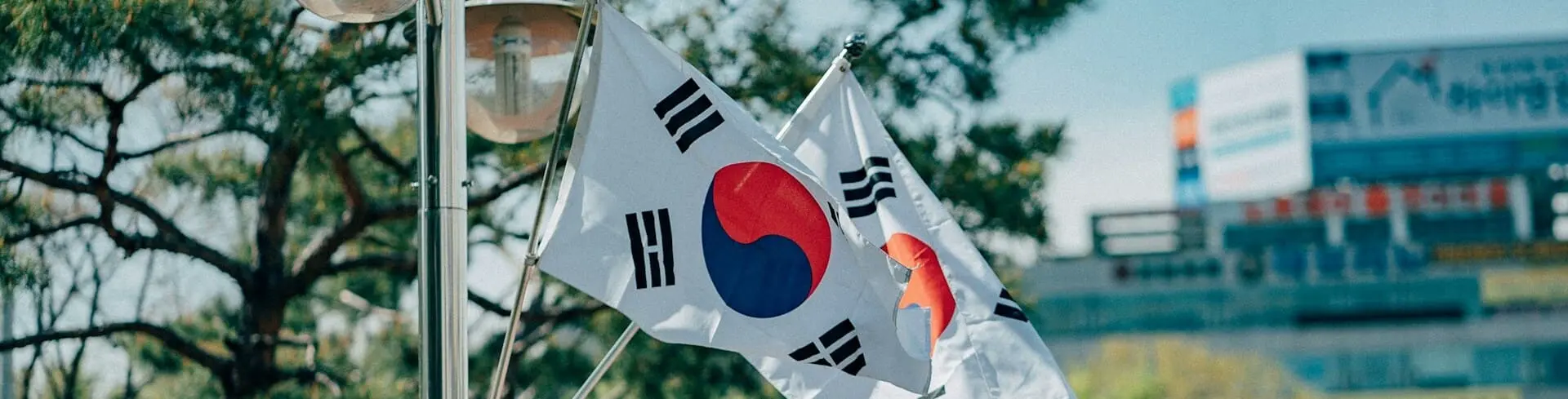 Cryptocurrency Report: South Korea