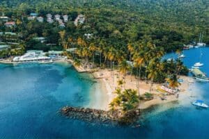 marigot bay palm trees