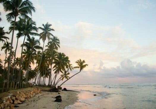 safety in dominica