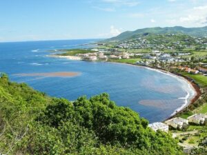 st kitts considered tax havens