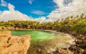 Grand Etang National Park