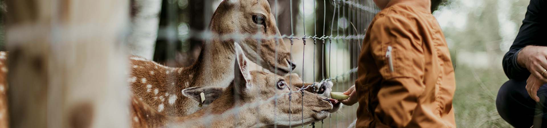 riga zoo latvia